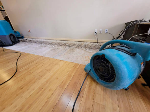 Professional Sewage Cleanup technician working in Gilbert, AZ